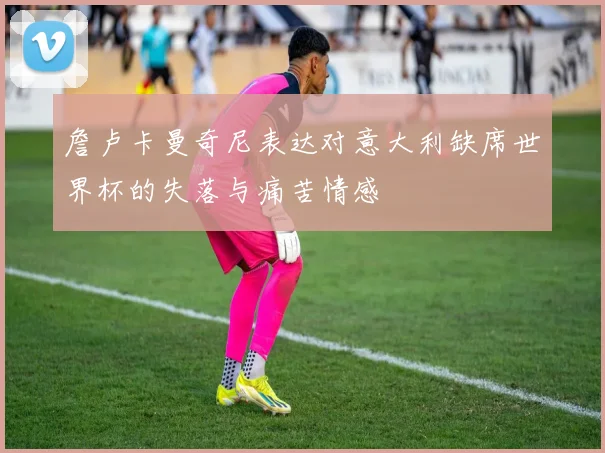 詹卢卡曼奇尼表达对意大利缺席世界杯的失落与痛苦情感