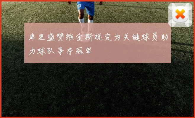 库里盛赞维金斯蜕变为关键球员助力球队争夺冠军
