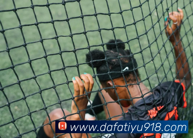 大发体育平台生态图