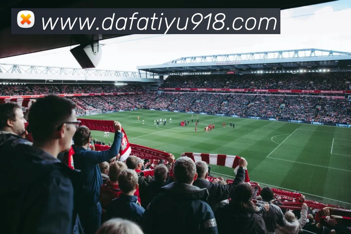 大发体育全站App